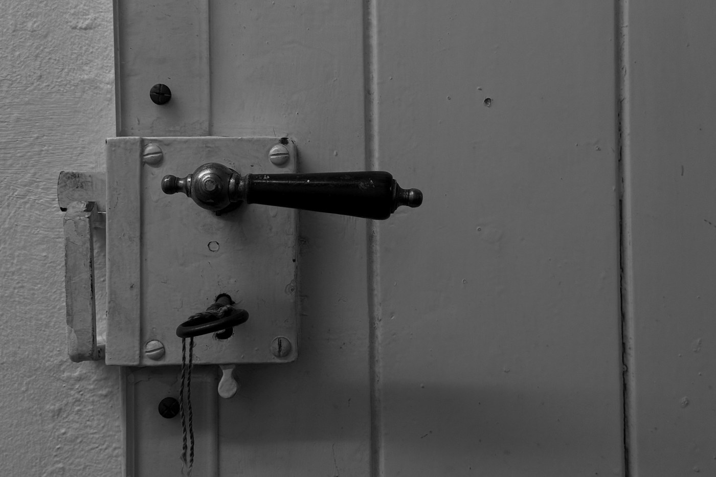Serratura con maniglia su porta in legno